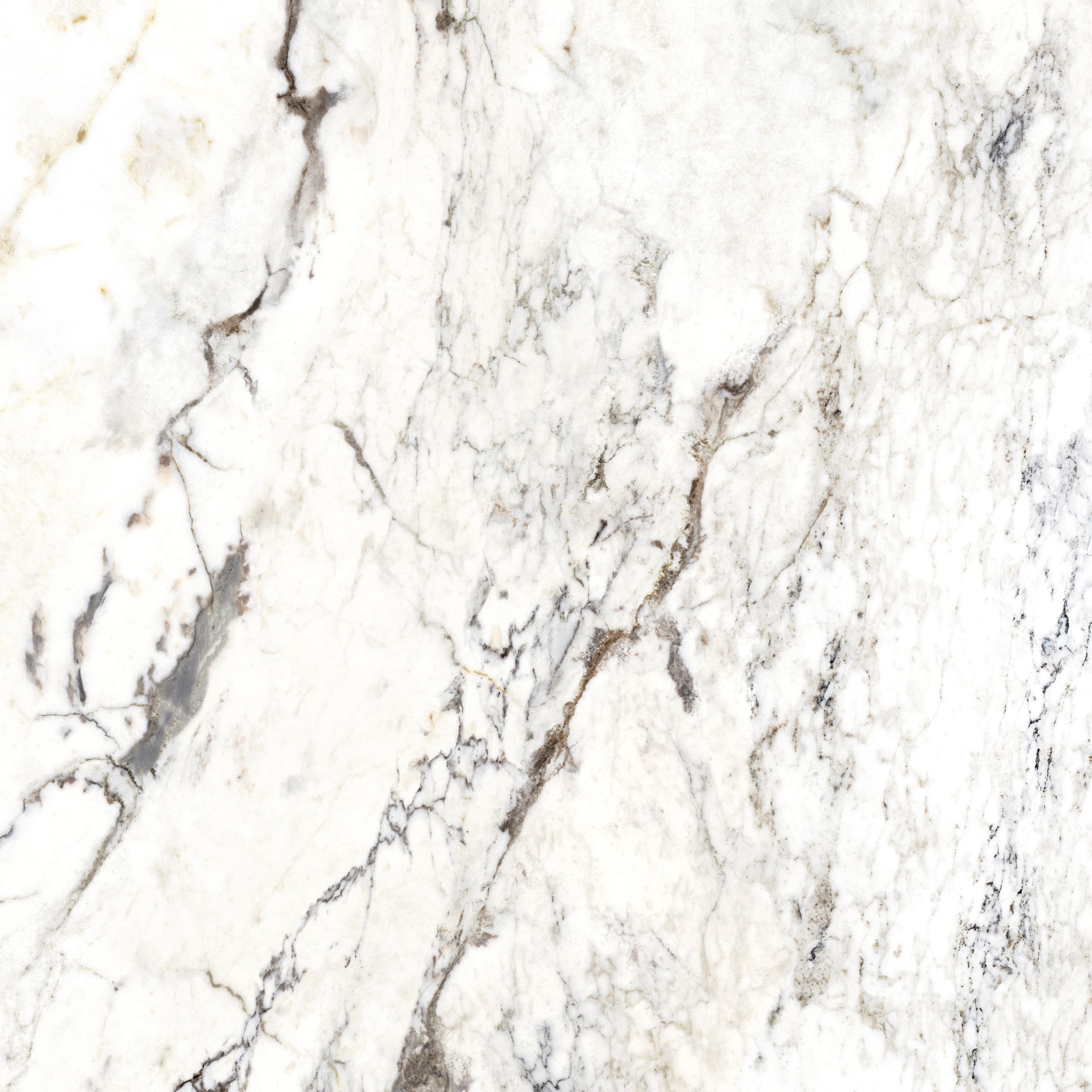 Pieza de porcelanatto CCU Dream Pure Breccia Capraia 120 x 120 cm